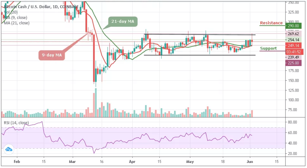 BCH/USD–02062020