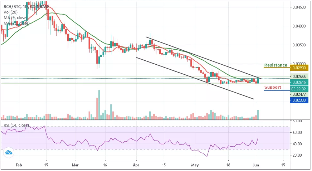 BCH/BTC–ÿͼ