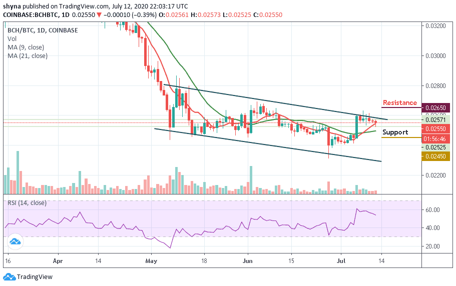 BCH/BTC–ÿͼ