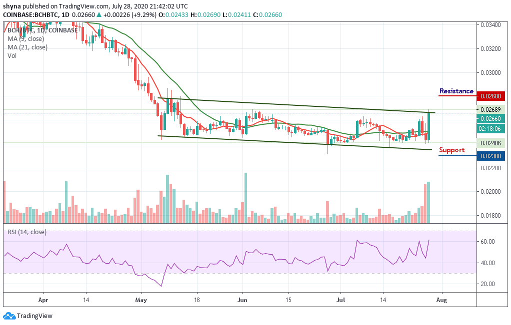 BCH/BTC–ÿͼ